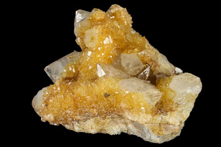 Sunshine Cactus Quartz Crystal Cluster - South Africa #115163